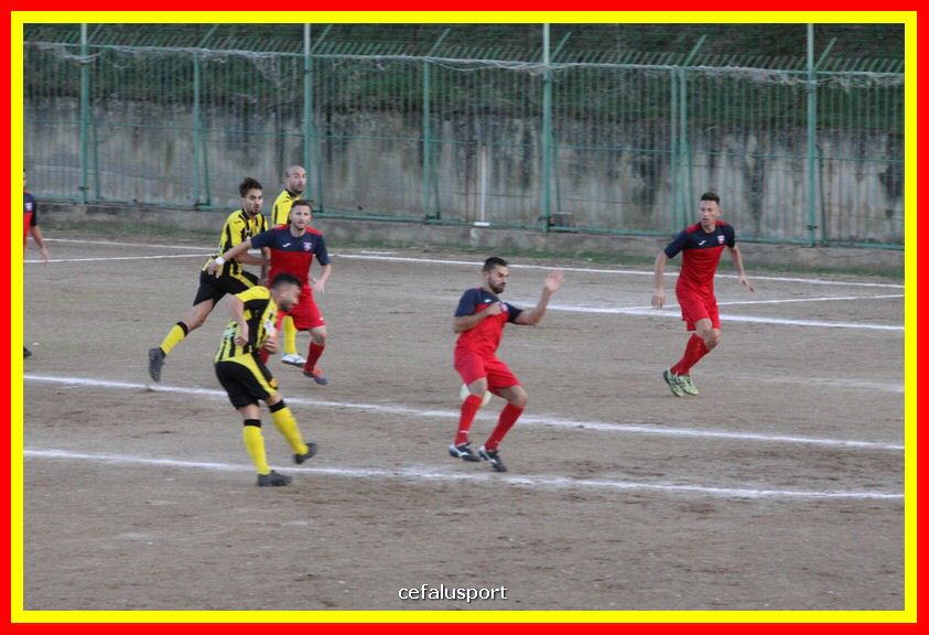 181111 Cepha_Milazzo 243_tn.JPG